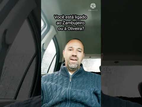 Você está ligado ao Zambujeiro ou à Oliveira?