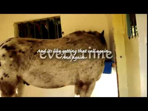 Mr.K.A.Chopstix [One month without you] (340+)