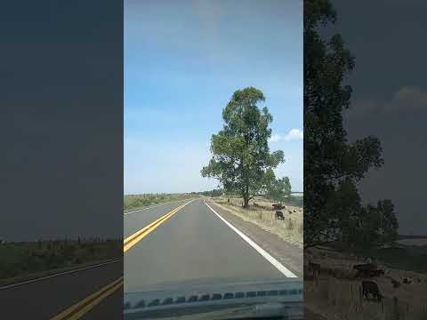 PR 090 São Jerônimo da Serra #pr090#norteadopr #short #shortsvideo #reels