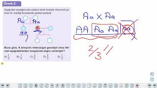 Eğitim Vadisi 10.Sınıf Biyoloji 11.Föy Soyağacı Konu Anlatım Videoları