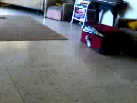 vampiregirl1868's webcam video January 31, 2010, 07:48 AM