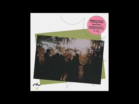 Zeitgeist Freedom Energy Exchange + Wayne Snow - Kreuzberg Kix
