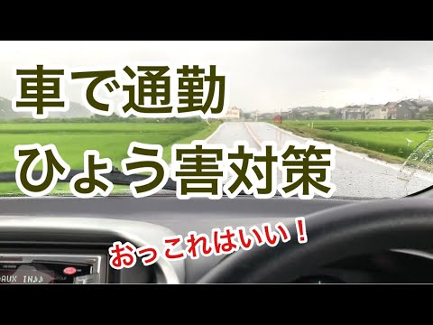 2022 年に木を伐採して地面まで伐採する
