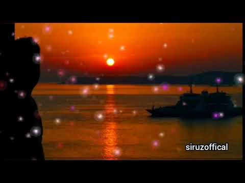 Haminin axtardigi gurcu mahnisi (azeri dilinde) urey kimi