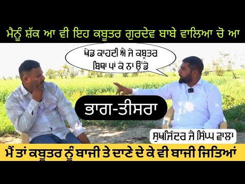 ਦੇਖੋ ਸੁਖਜਿੰਦਰ ਜੈ ਸਿੰਘ ਵਾਲੇ ਦੇ ਵੱਡੇ ਕਬੂਤਰ #starkabutarbaaz #sukhjinderjaisinghwala