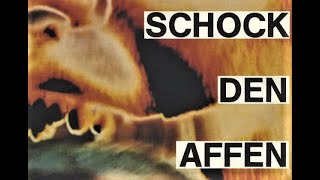 Peter Gabriel - Schock Den Affen (Shock The Monkey) - Razormaid Promotional Remix (HQ)