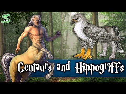 The History Of Centaurs And Hippogriffs Explained