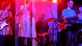 Brian Eno Tribute - Cindy Tells Me Live at The Rock Shop Brooklyn, NY 5/21/11