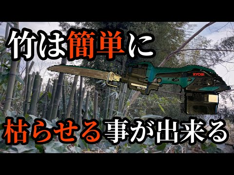 庭の小さな木立: 侵入しすぎた竹の根を取り除くにはどうすればよいですか?  庭園
