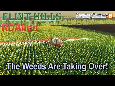 The Weeds Are Taking Over! | E67 Flint Hills | Farming Simulator 19