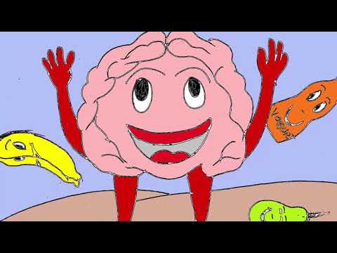 "EL CEREBRO" Cuentos Infantiles / Proyecto UNP - Innóvate Perú