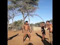 One Blood Kangaroo