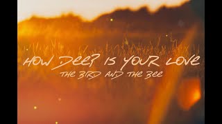 The Bird and The Bee - How Deep Is Your Love (Lyrics)