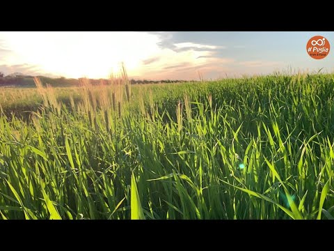 Giornata della terra, il viaggio fra le meraviglie di Puglia è virtuale: la natura dà spettacolo