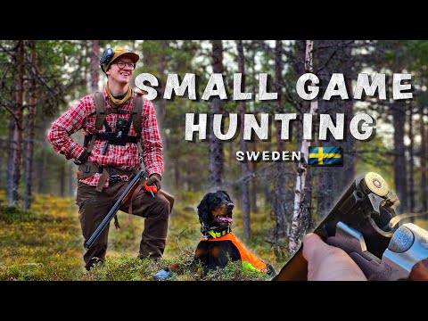 Small Game Hunting: The Hunt for the Elusive Capercaillie
