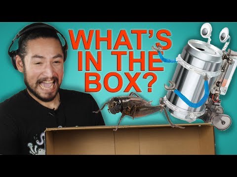 WHAT'S IN THE BOX CHALLENGE (feat. James)