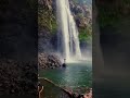 #hawaii #kauai #hiking #waterfalls