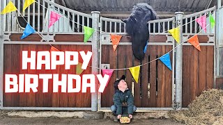 Playing with filly Blomke | Rein's vlog | Happy Birthday to... | A mustache! | Friesian Horses