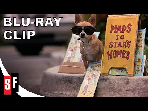 Legally Blonde Collection: Legally Blonde 2 (2003) - Clip: Serious Lawyers Only (HD)
