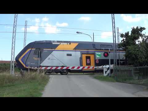 Passaggio a livello di via Orticini - Solarolo (RA) / Level Crossing / Paso a nivel / Bahnübergang