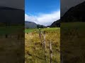 Tour Virtual