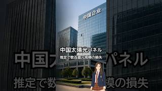 赤字でも生産を止めない中国太陽光 戦略的供給過剰の正体