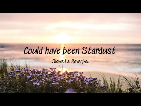 Could Have Been Stardust - Sam Shore Ft. Matt Bloyd (Slowed & Reverbed)