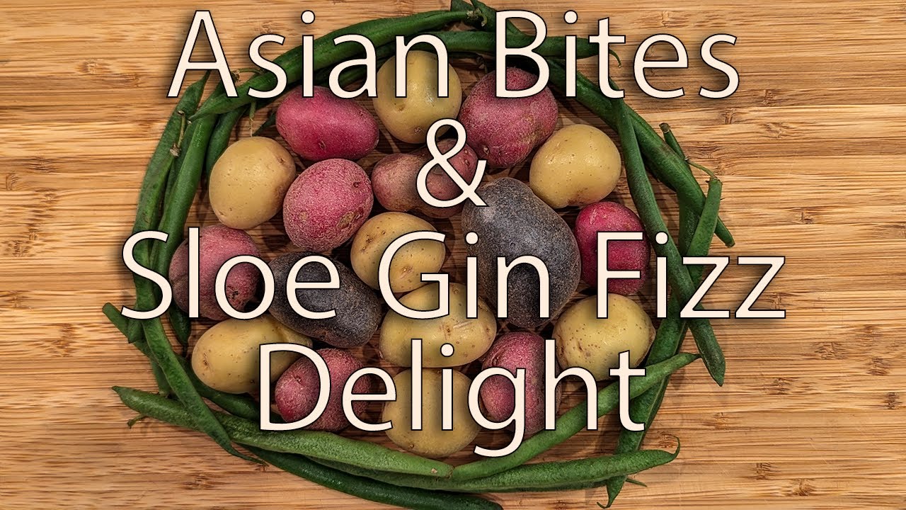 Asian Bites & Sloe Gin Fizz Delight