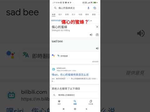 傷心的蜜蜂意思