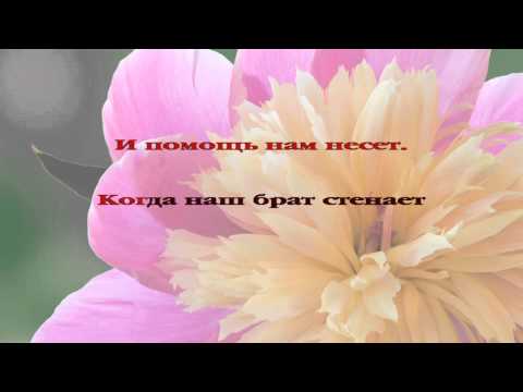 005. Любви святой дыханье