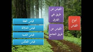 المدخل إلى علم أصول الفقه 7/9 - عامر بهجت image