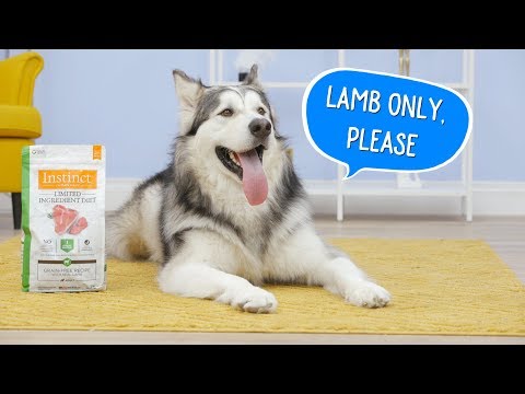 Instinct Limited Ingredient Diet Dog Food | Chewy