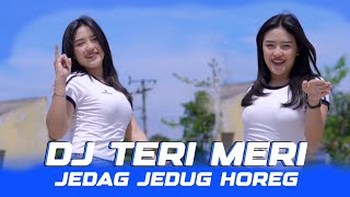Download lagu DJ TERI MERI - JEDAG JEDUG HOREG mp3