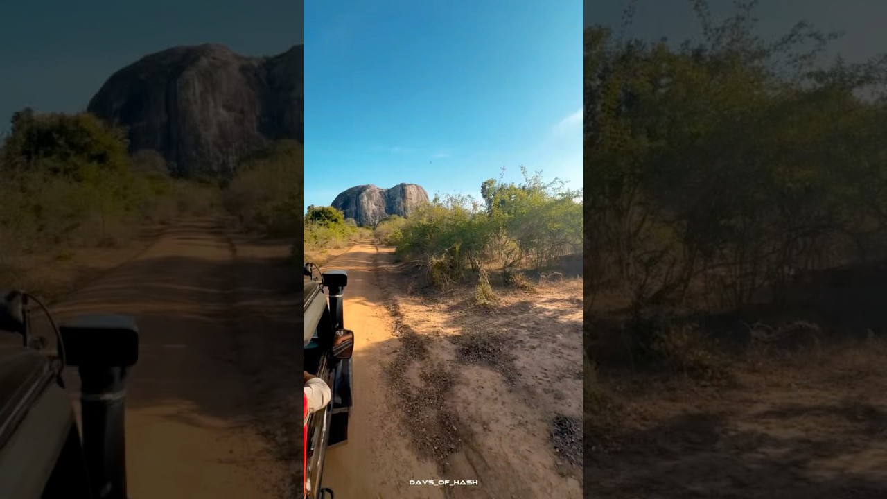 YouTube Short thumbnail