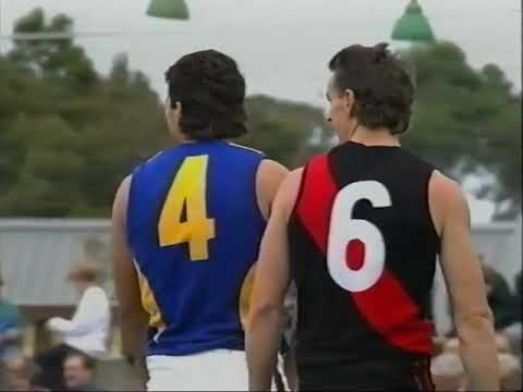 1991 - Essendon vs West Coast - Rd 8