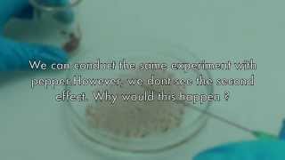 Surface tention - Prof. Jan Vermant