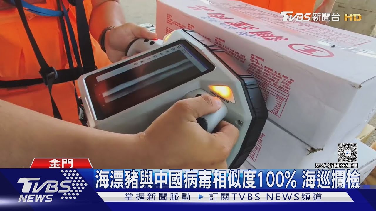 海漂豬檢出「非洲豬瘟」!豬製品暫禁運台