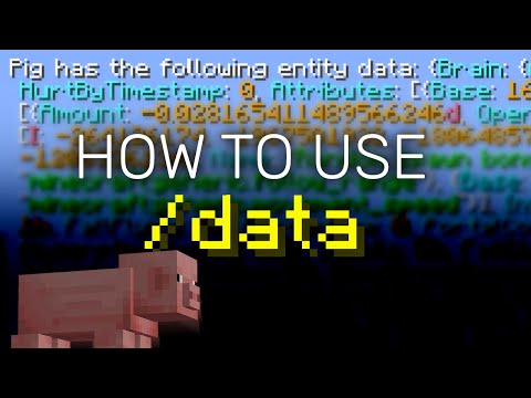 Minecraft Data Command [1.19] Tutorial