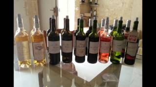 preview picture of video 'Un apérçu de nos vins (A glimpse of our wines)'