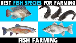 Best FISH SPECIES to Farm | Tilapia, Catfish, Perch, Carp, Hybrid Striped Bass, Trout, Salmon Fish