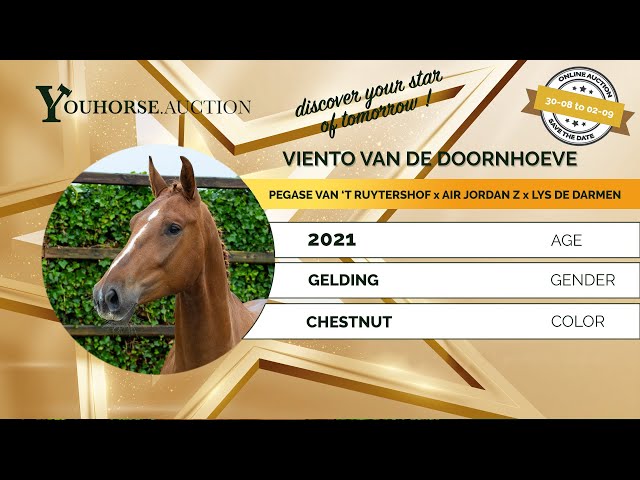 Viento van de Doornhoeve