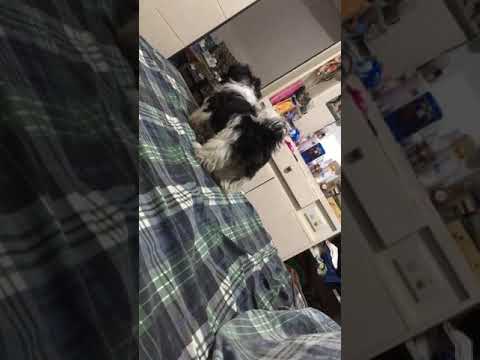 Miya just wants to stay beside me