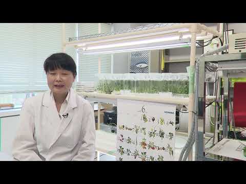 【福井県立大学】生物資源学科　植物遺伝資源学分野