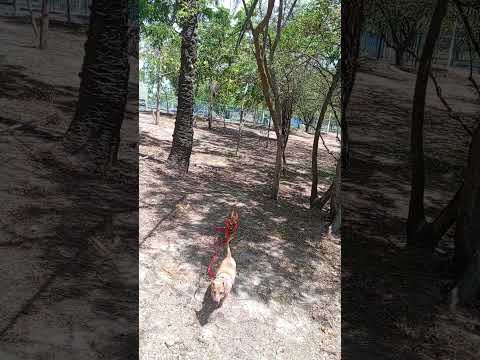 Parque muvdi soledad-atlantico