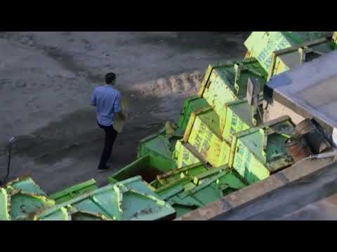 Anthony Pappalardo ''thoughts''