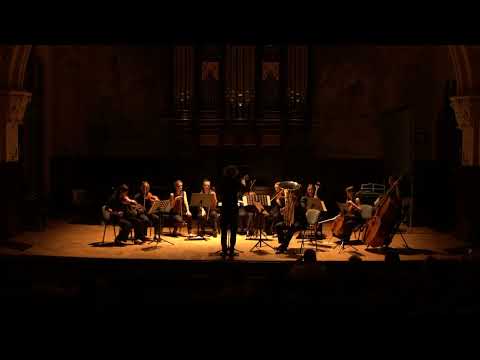 A. Wesołowski - Euphory Concerto - Jakub Faliński