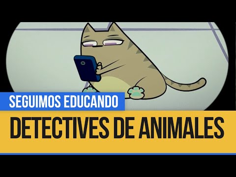 Detectives de animales: Gato - Seguimos Educando