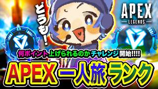 【APEXランク】魂の全力一人旅！ソロで本気でやったら何ポイント上げることができるのか？ガチ挑戦!!!!【ハセシン】Apex Legends