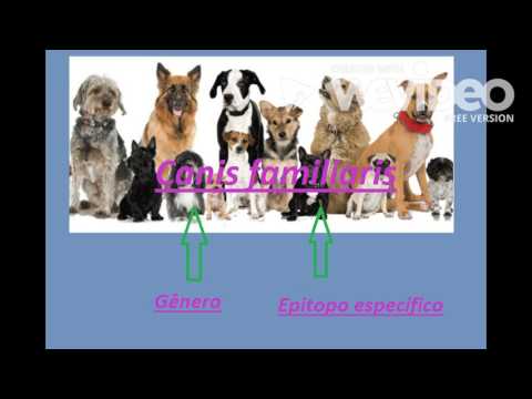 Lineu e a nomeclatura binomial