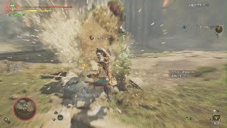 【MHwilds】ランクS 闘技場 チャタカブラ 大剣2:42 Monster Hunter Wilds